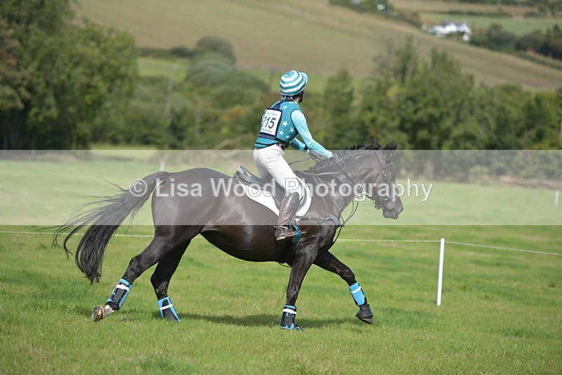 RAY_8933 - Class 2: Trekenning Open: Wall