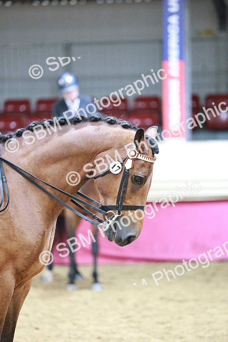 SBM_03536 - Class 6A Area Ridden Pre-Vet