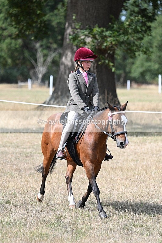 WJ7_6211 - Class 13 Ridden Veterans