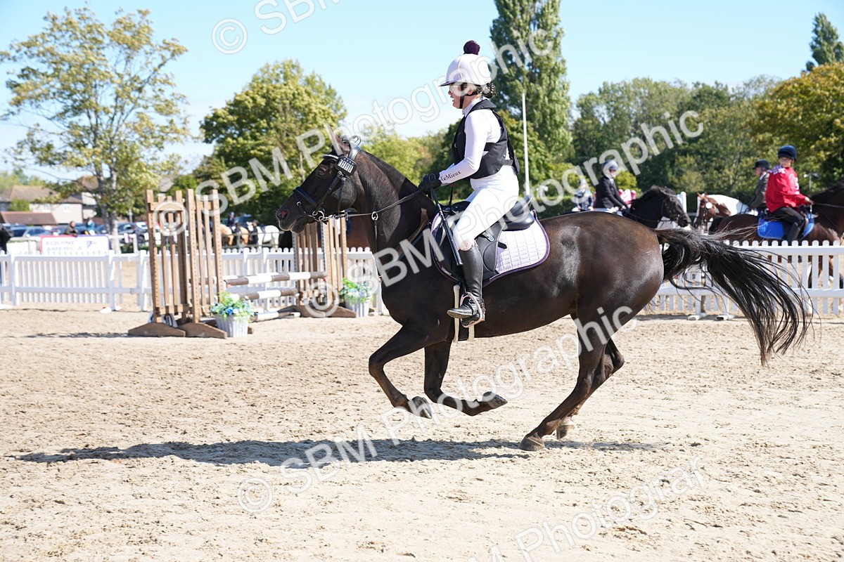 SBM_04902 - J56 - Clear Round 70cm