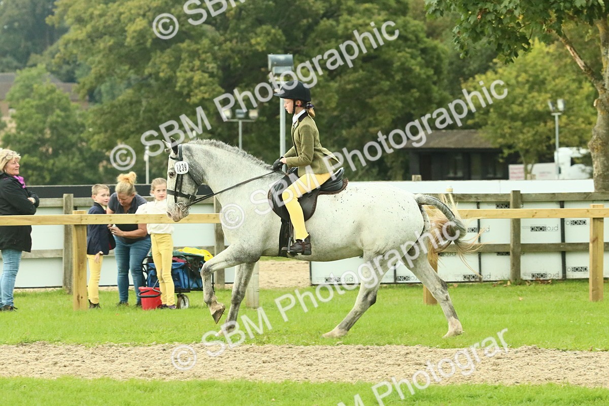 SBM_74051 - S 61 - Show Pony & Show Hunter Pony Ridden
