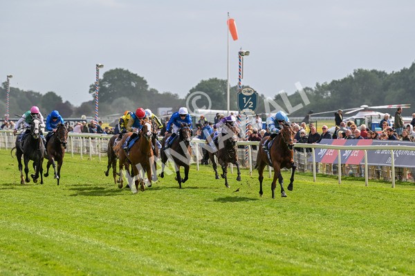 150525-Pride Of Arras-4663 - Race 4 3.45pm Al Basti Equiworld Dubai Dante Stakes