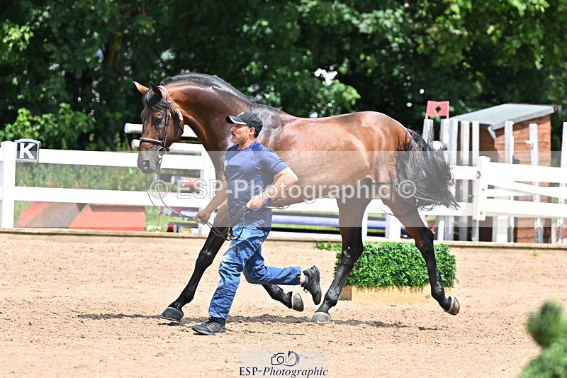 240718A-105307-01589 - Trot Up 1pm to 2pm