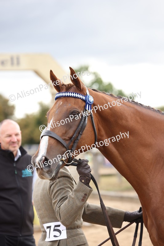 20260831-1966 - Class 5 - Retraining of Racehorses