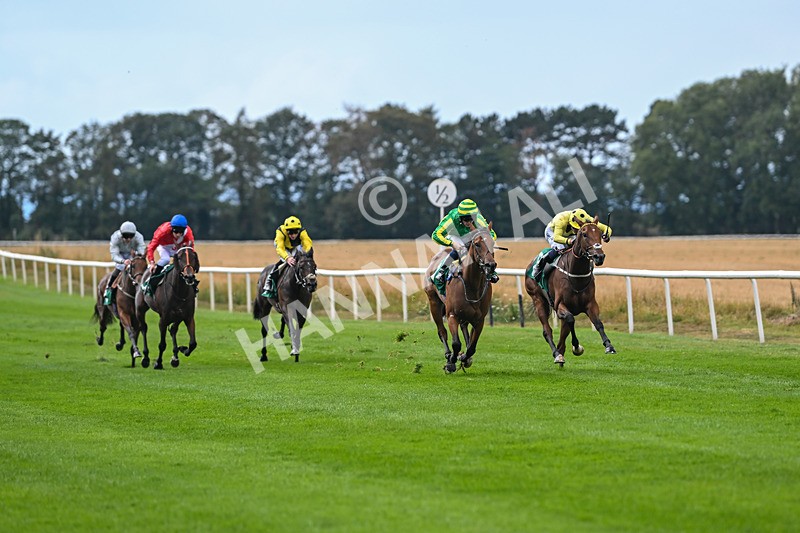 290825-Race 2-Brigids Well-8343 - Race 2