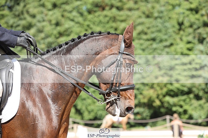 240719-155618-02995 - 237-Sue_Lanz-Wellshead_Foxtrot