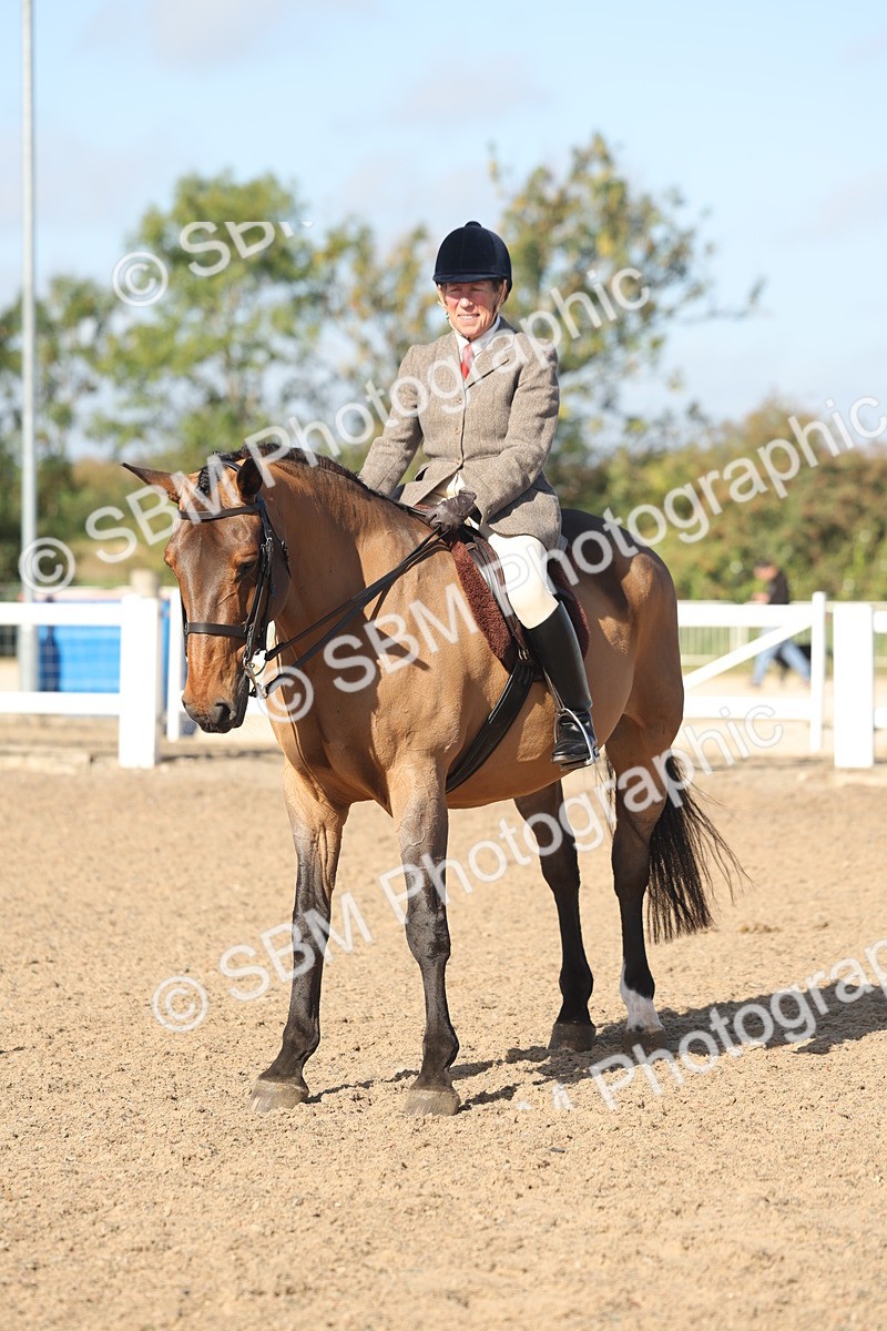 SBM_22317 - Class 803 - Ridden Combination 65+