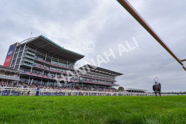 230825-Race 4-Ethical Diamond-9802 - Race 4 3.35pm Sky Bet Ebor Handicap