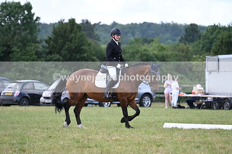 WJ7_5341 - Time 11:22 to 11:51