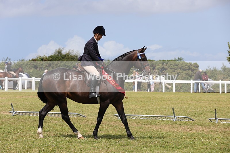 1X9A4989 - Veteran Championship