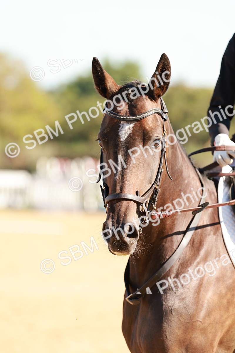 SBM_009165 - Class 1 - Intro 2