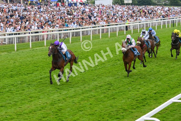 170623-Race 5-Twilight Romance-0781 - Race 5 4.15pm Reg Griffin Appreciation ebfstallions.com Maiden Stakes
