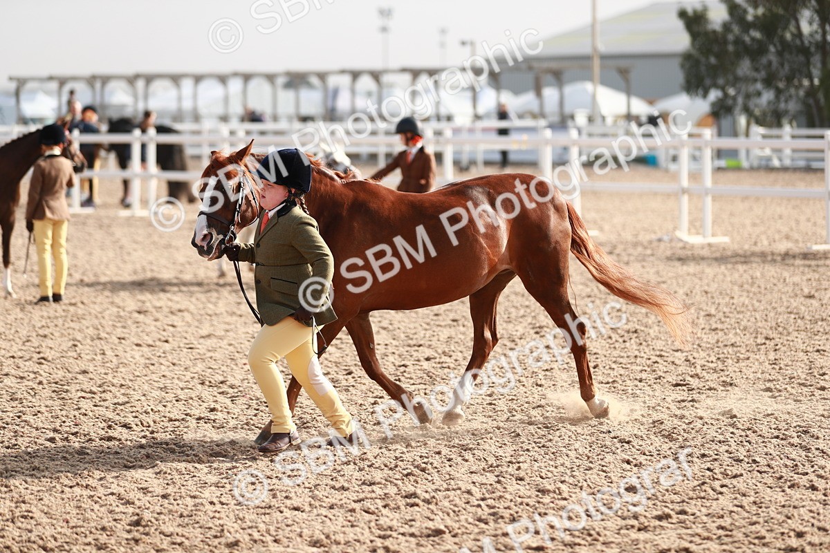 SBM_09883 - Class 203 Young Handler, 10 years and under