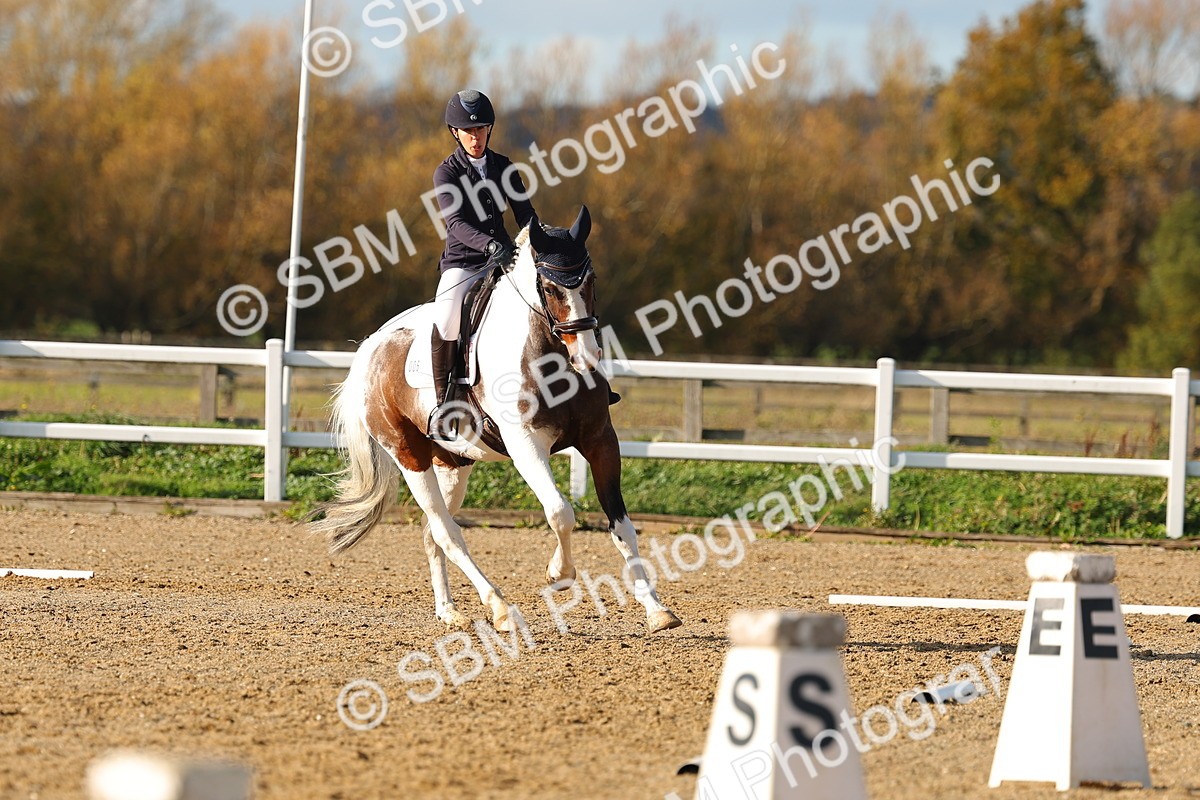 SBM_001145 - Novice 5