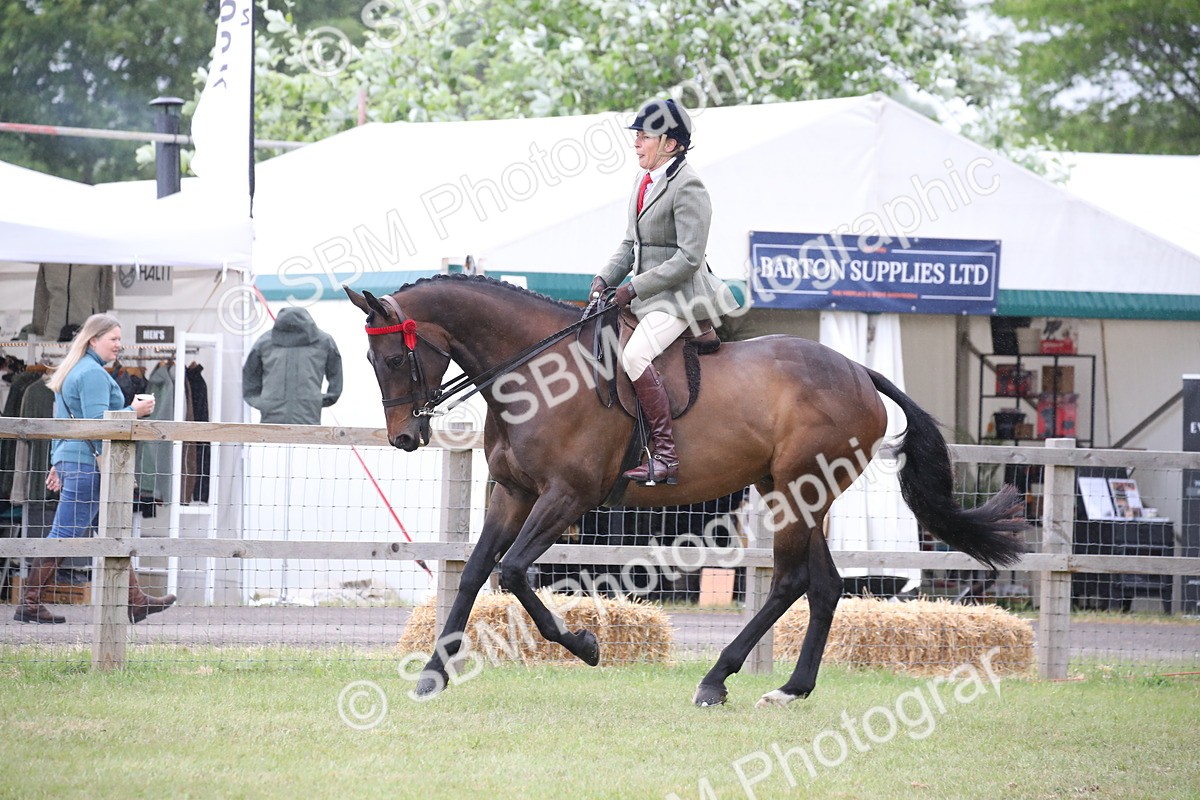 SBM_11448 - Class 94 - LIHS BSHA Racehorse to Showhorse