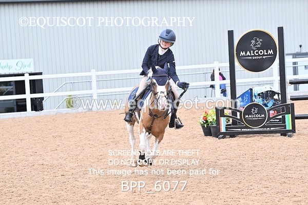 BPP_6077 - SUN CLASS 49 Horse of The Year Show 128cms Qualifier