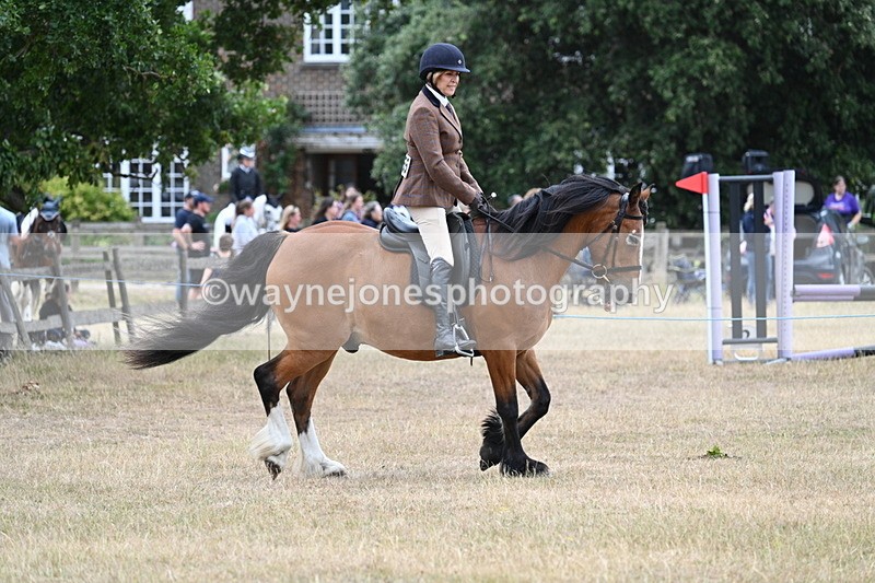WJ7_0515 - Class 6 Ridden Mountain and Moorland