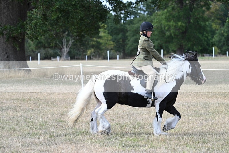 WJ7_7106 - Class 14 Ridden Coloured