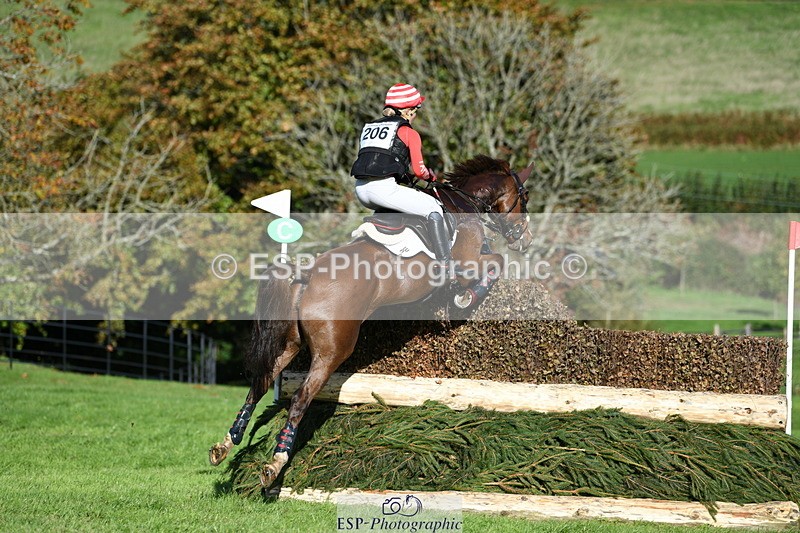 251024A-143547-13462 - C-206-Madison.Tapner