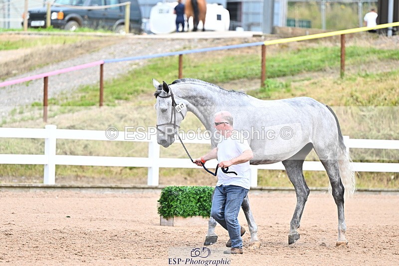 240718A-105323-01930 - Trot Up 2pm to 3pm - This folder is not in time order