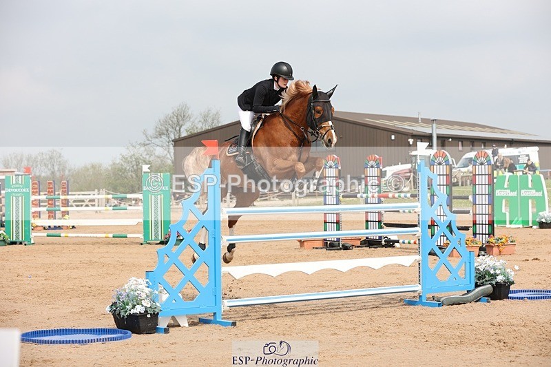 250424-110428-03378 - Cls 33 Young Horse 7yr old