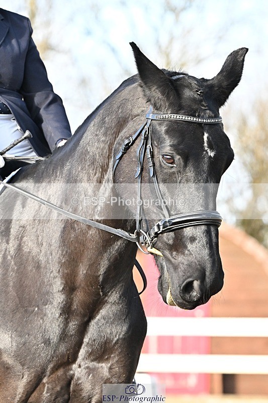 241214-133248-02471 - 156-Jo.Roberts-MajesticC