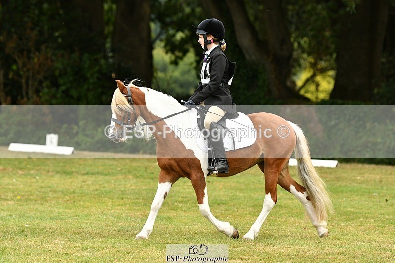 250820A-114732-05294 - 11am to 12