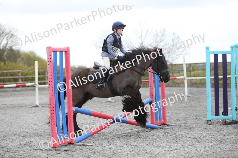 20260412-0590 - Show Jumping