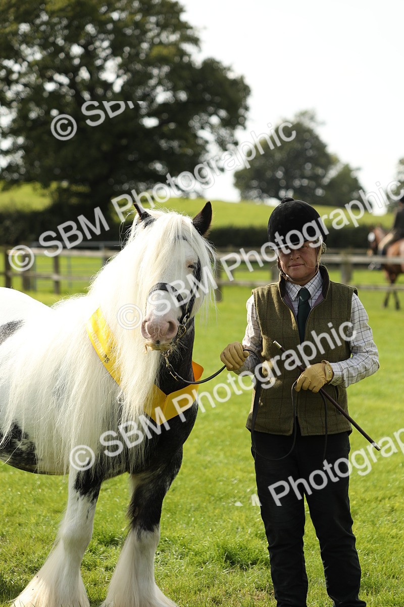 SBM_66335 - In Hand Pony & Youngstock Supreme Championship
