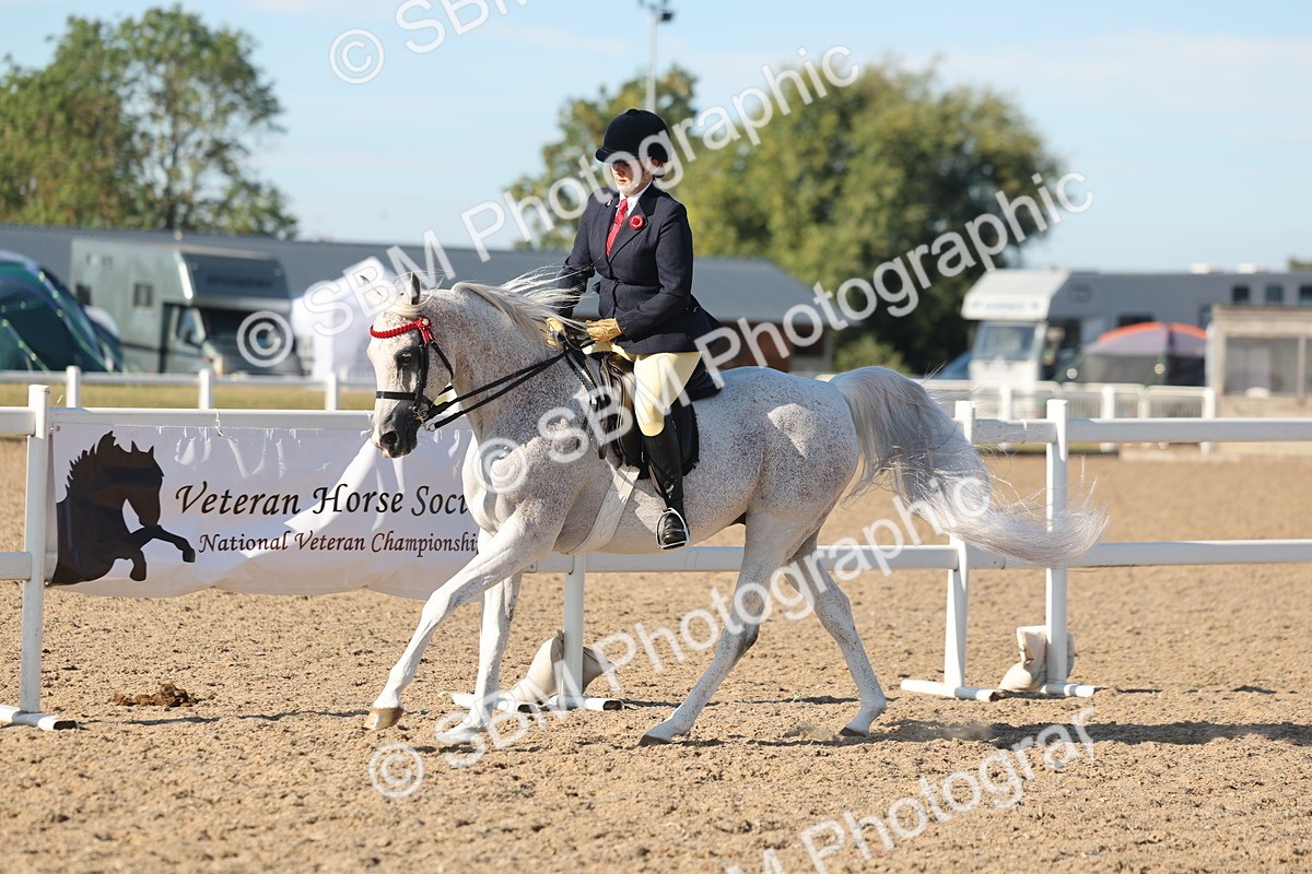 SBM_12189 - Class 303 - Ridden Pure Bred Horse Pony