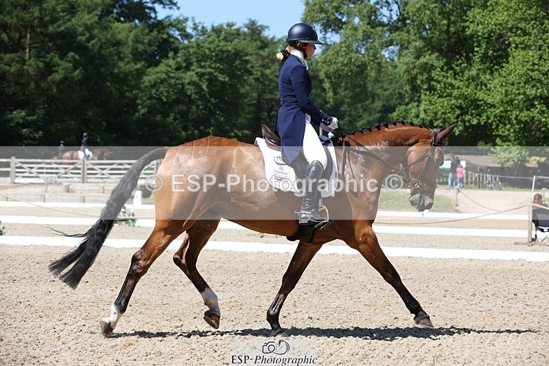 230526-112308-06046 - 152-RENKUM_JITTERBUG-Phoebe_Locke-WEDTrotUp+DR