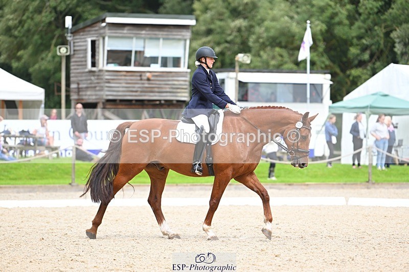 230813-135607-07650 - Cls 13 Medium Bronze 13.15 to End