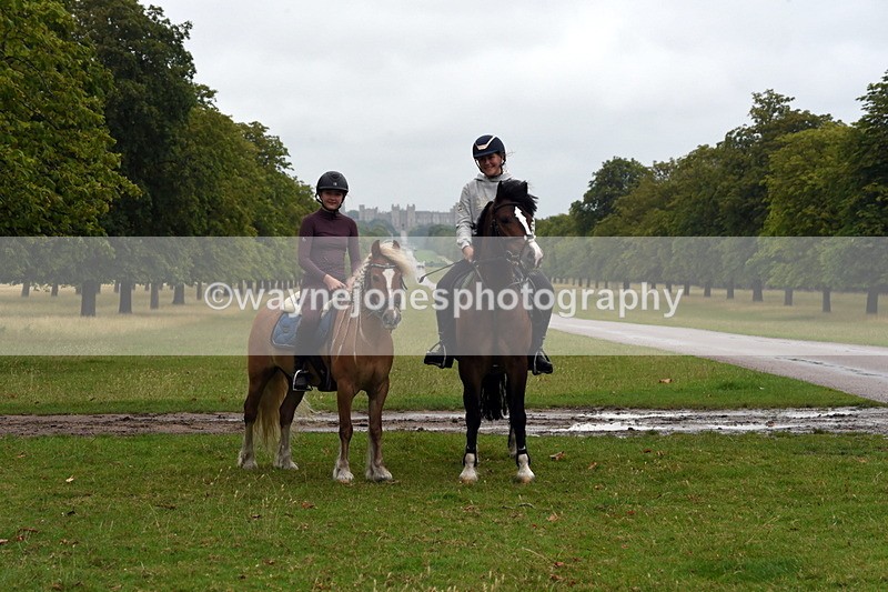 TT3_8120 - Time at Crossing 09:15 to 10:15