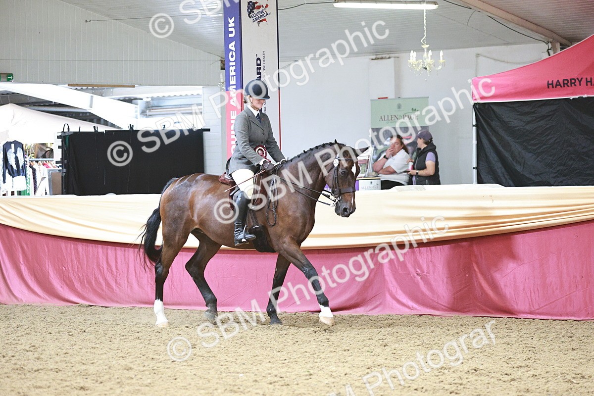 SBM_08649 - Regional Ridden Champ