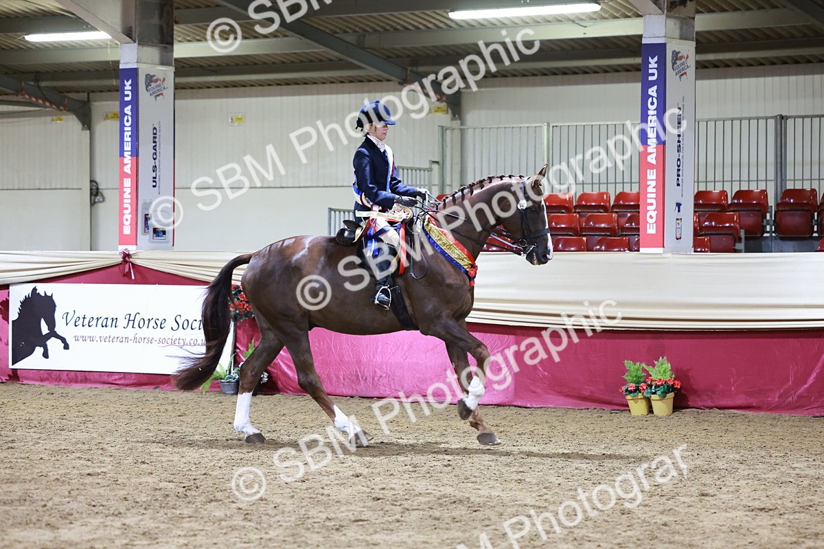 SBM_20719 - Class J - Foreign Breeds Champ