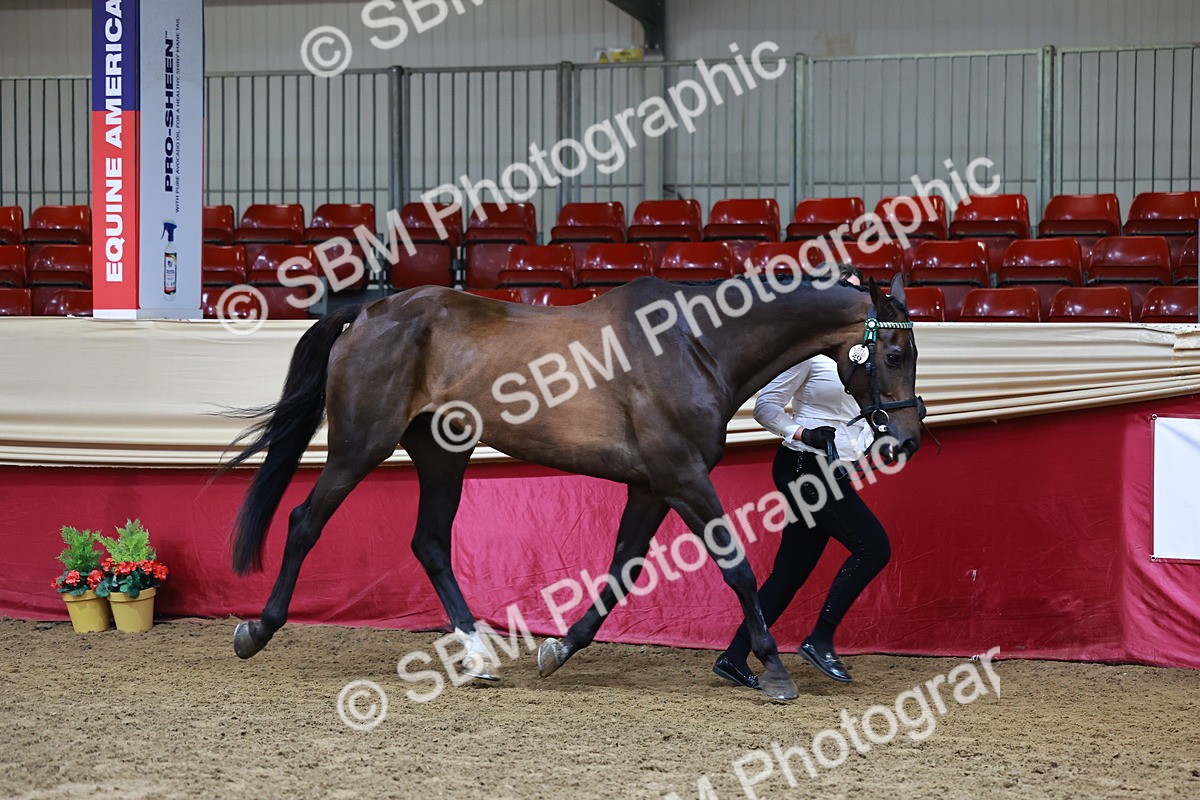 SBM_22216 - Class 902 - Supreme Final - IH Diamond