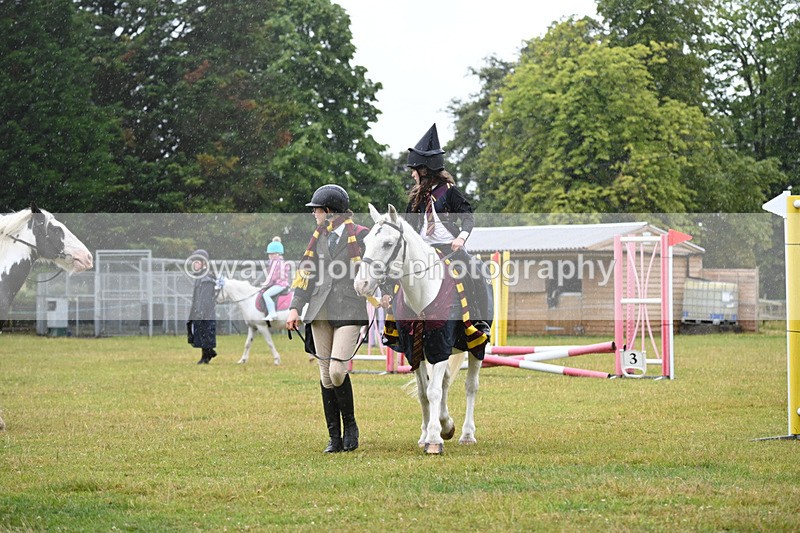 WJ6_9232 - Class 11 Fancy Dress