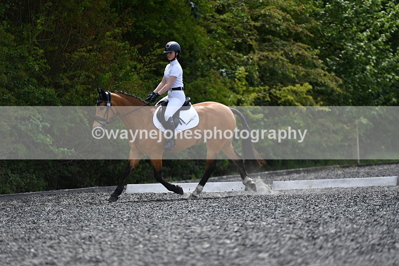 WJ5_0977 - Time 13:45 to 14:20