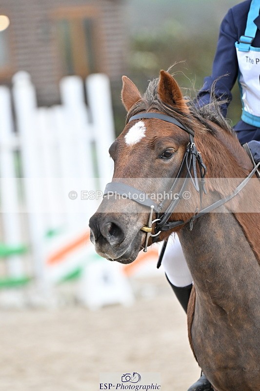 251109A-151124-01171 - Cls 06 60cm SJ