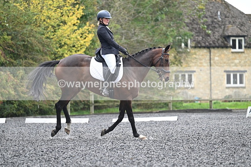 WJ7_3912 - Time 11:04 to 11:38