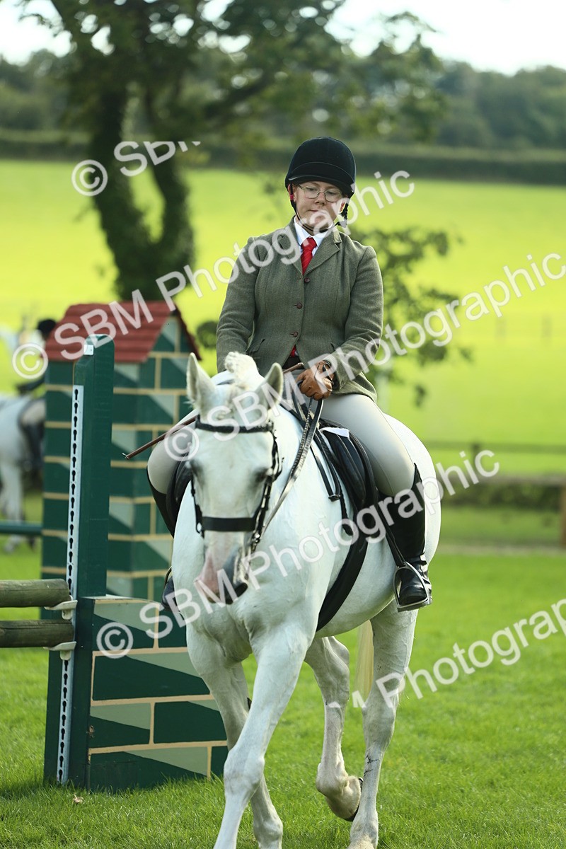 SBM_50717 - S33 - Working Hunter & Working Show Horse