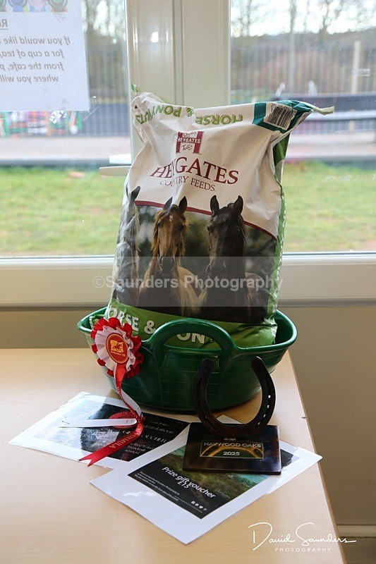 DSPX1123 - Presenation