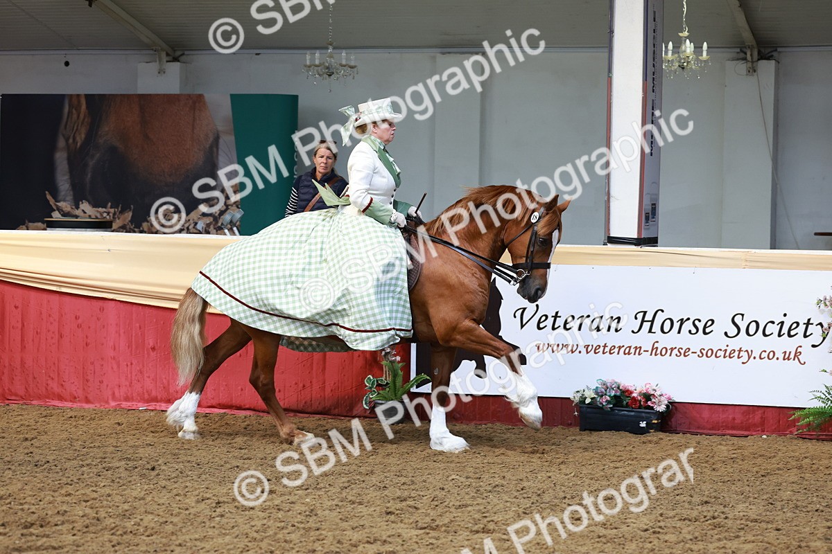 SBM_13840 - Class 106 - Ridden Costume -Astride Adult (15-19)