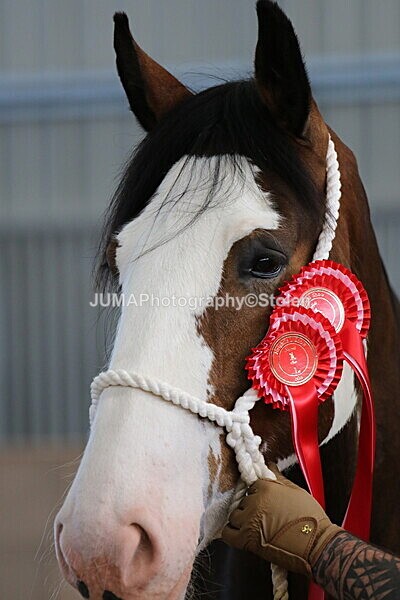 SIAL0399 - Indoor Classes