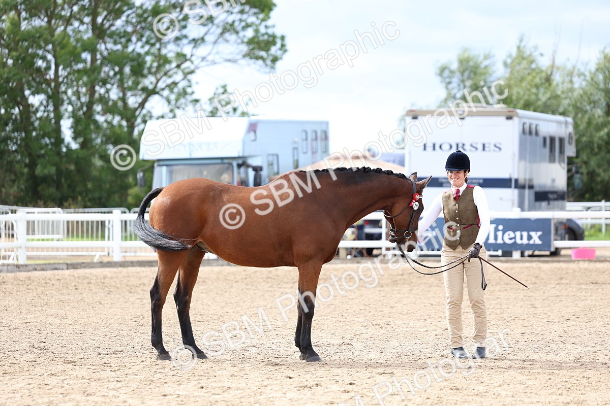 SBM_04459 - Class 26 - IH Foreign Breeds - Part Bred