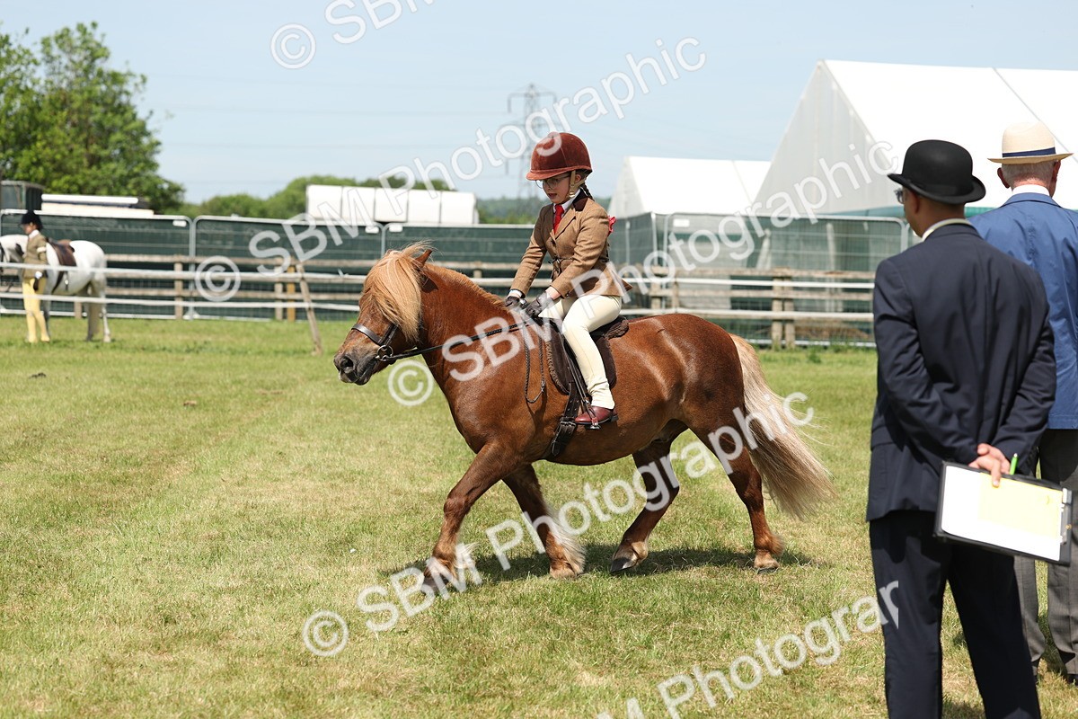 SBM_05330 - Class 24-25 - Mountain & Moorland In Hand Lead Rein and First Ridden