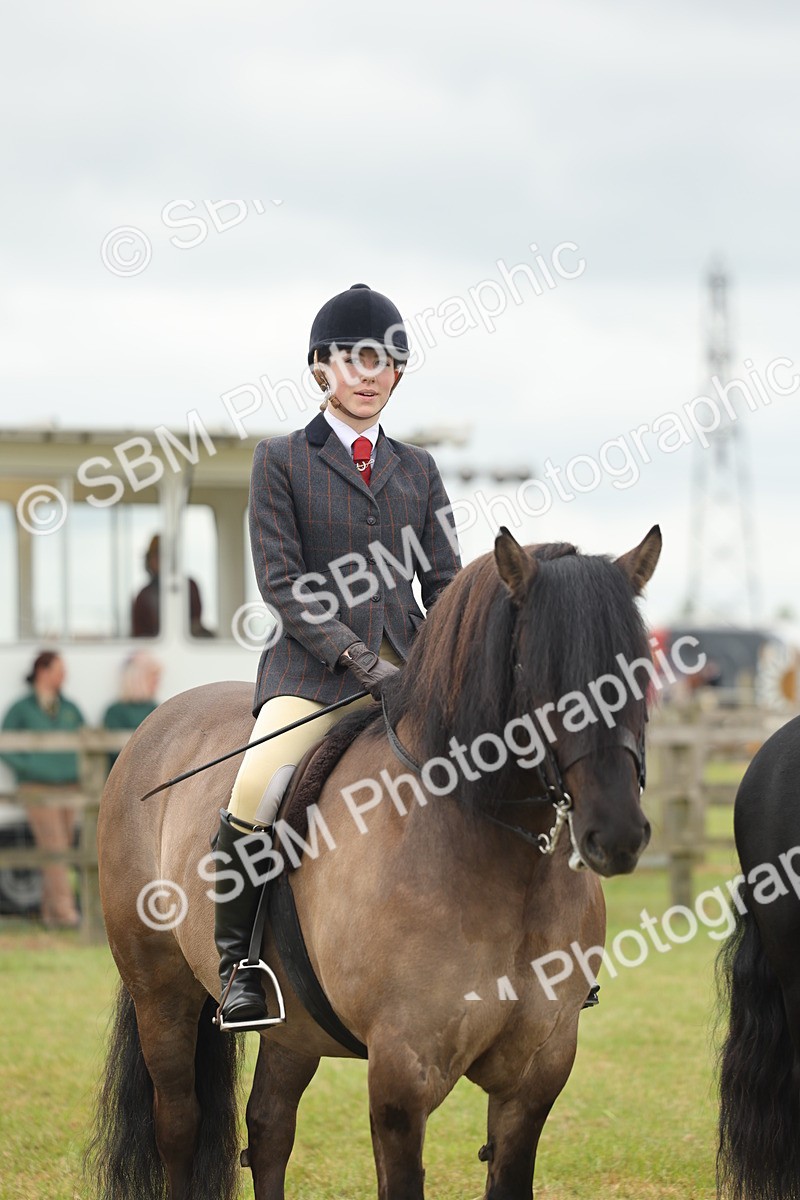 SBM_09012 - Class 78-80 - Ridden M&M Non Welsh Ponies