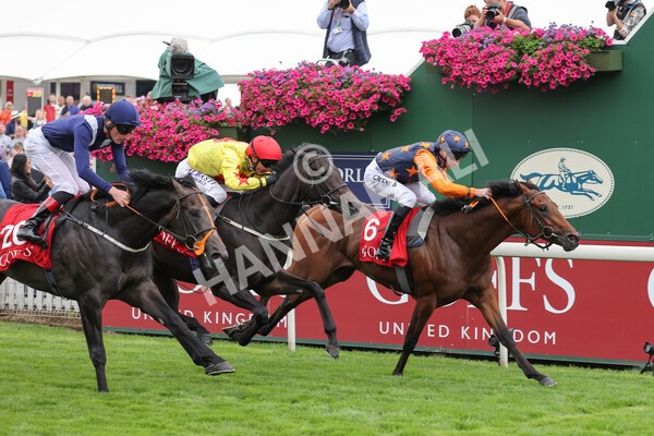 yr19082021r2-25 - Race 2 2.25pm Goffs UK Premier Yearling Stakes