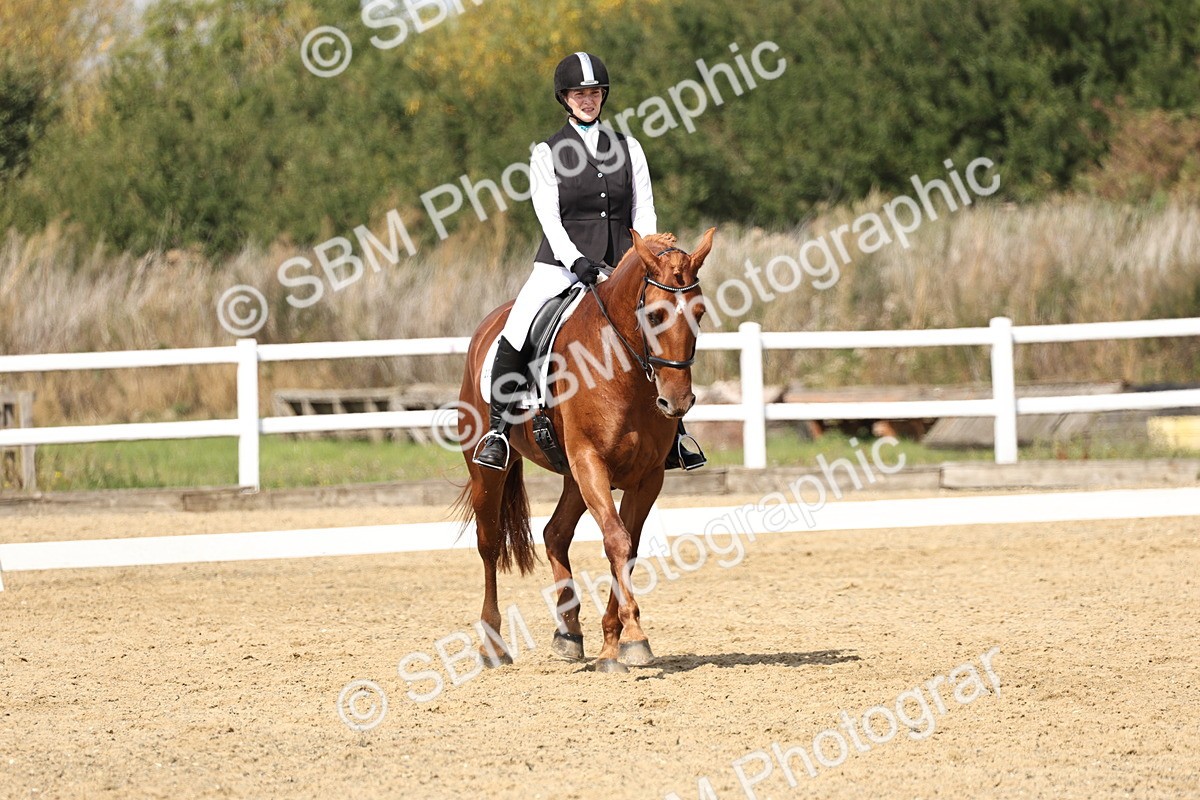 SBM_018365 - Class 16 - Novice 5 - 11.12-12.01