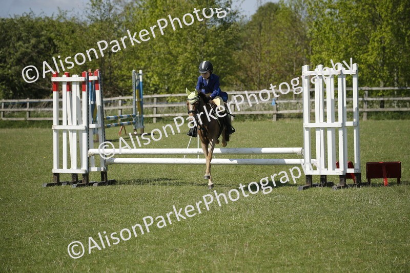 20250427-2253 - Class 13 - Novice Jumping 60cm